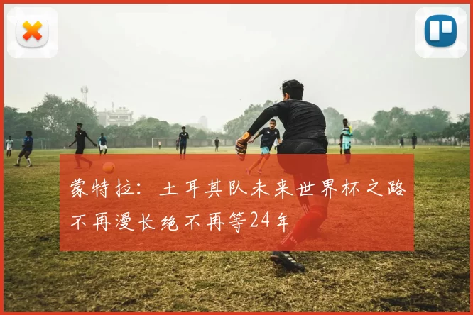 蒙特拉：土耳其队未来世界杯之路不再漫长绝不再等24年